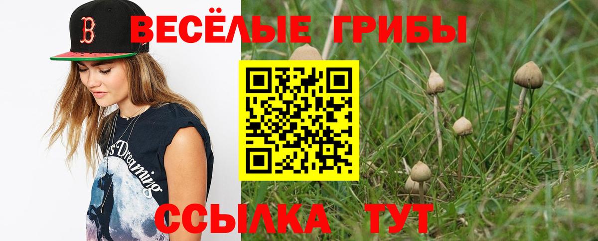 Минусинск  Псилоцибиновые грибы MAGIC MUSHROOMS  Вход с VPN 
